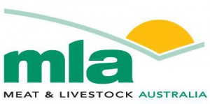 mla